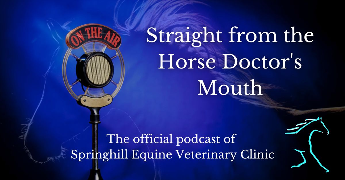 xr:d:DAC7HaTiFW4:36,j:29883151033,t:22070115